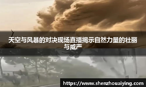 天空与风暴的对决现场直播揭示自然力量的壮丽与威严
