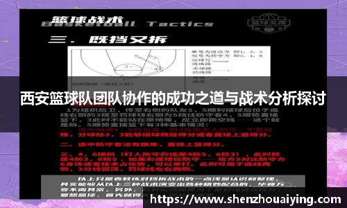 西安篮球队团队协作的成功之道与战术分析探讨